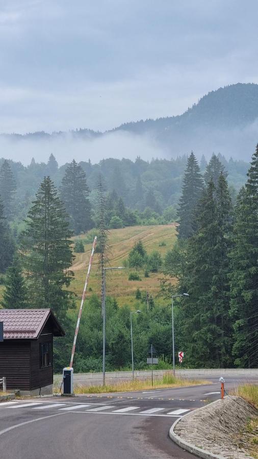 Charming Family Condo In Silver Mountain Poiana Brasov Exterior photo